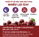 WIN SPORTS Tart Cherry Juice 35g – Nước Ép Cô Đặc Anh Đào Chua - Ảnh 4