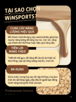Thanh Năng Lượng Yến Mạch WiN SPORTS Oat Bar - Vị Socola Đen Nguyên Chất 32g - Ảnh 4
